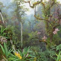 Orquídeas y paisajes culturales